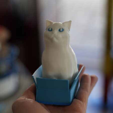 3D‑printed Schrödinger’s Cat in a box
