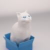3D‑printed Schrödinger’s Cat in a box (left)