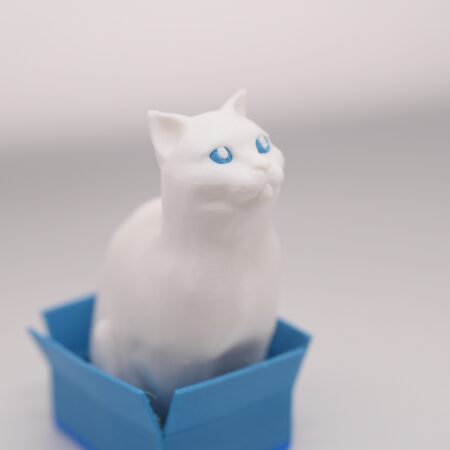 3D‑printed Schrödinger’s Cat in a box (left)