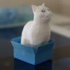 3D‑printed Schrödinger’s Cat in a box (lf)